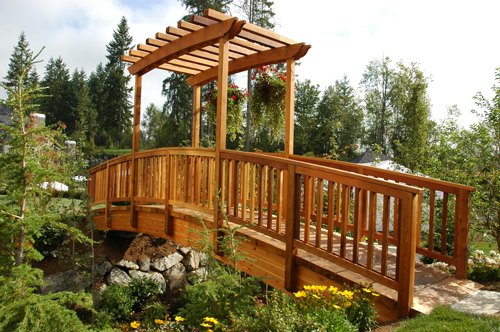 pont en bois dans la nature