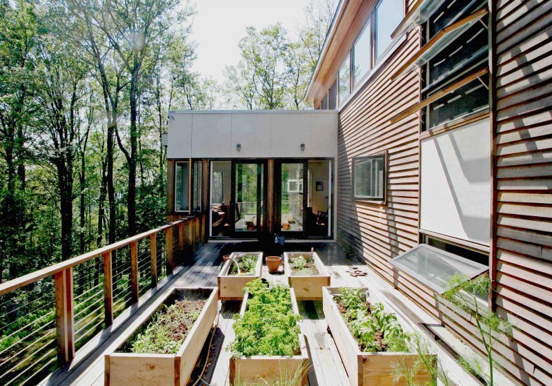 terrasse en bois avec potager dans foret