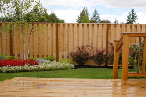 Western Red Cedar Fence Backyard With Deck